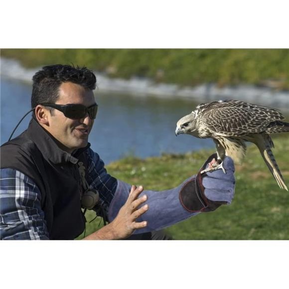 Animal Handling Gloves Bite Proof Double Leather Reinforced Padding Cat Scratch - Picture 3 of 8